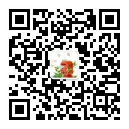 时光信件公众号二维码